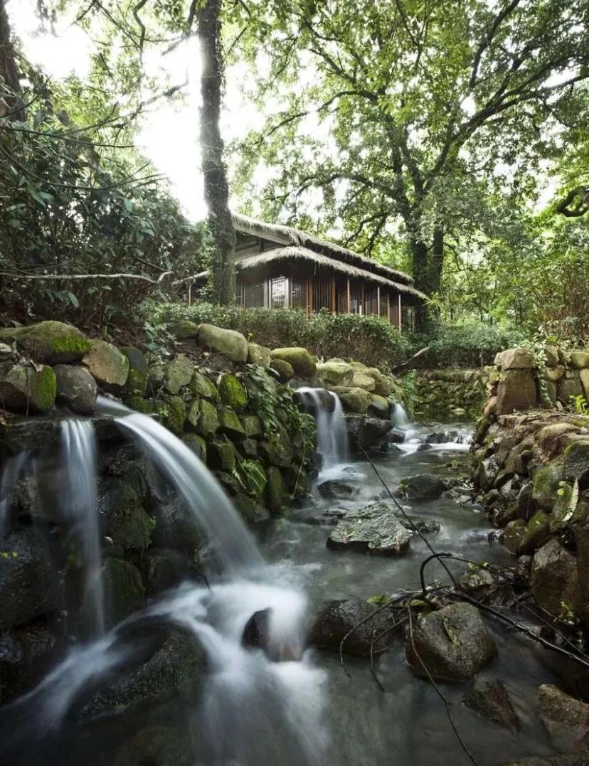 杭州这家黑珍珠餐厅人均不到80元,杭州必吃黑珍珠餐厅