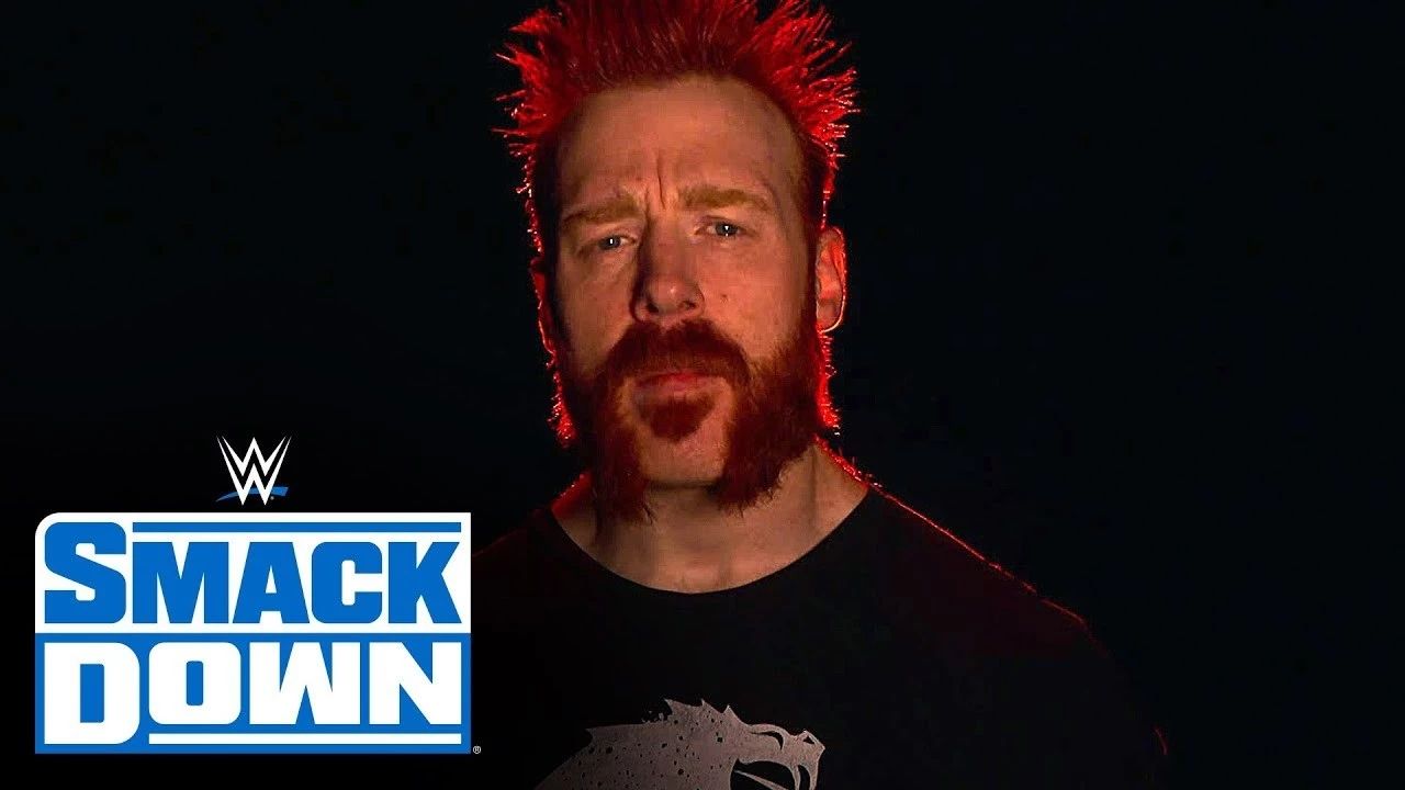 wwe公布了史上最佳的十大团体,wwe投票