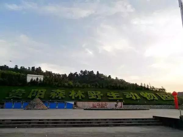 贵州60个重点景区名单,贵州5个风景区