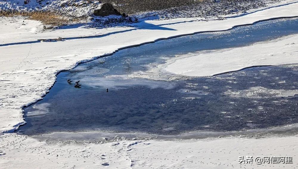 青藏高原上面看星空,雪域高原碧水蓝天看湖光