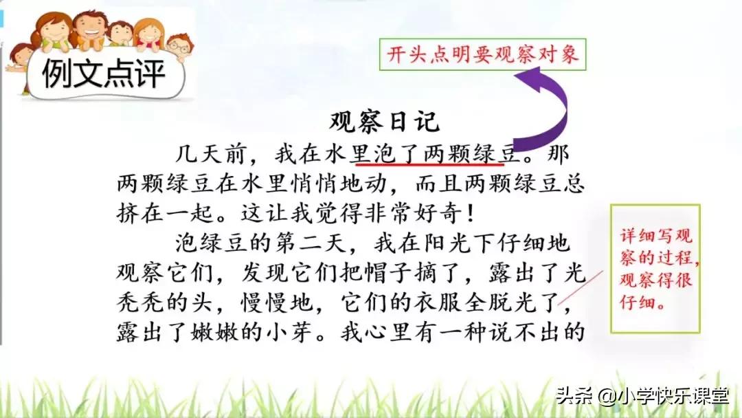 四年级语文第三单元观察日记作文,四年级观察日记400字优秀作文植物