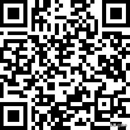 阿迪的潮牌是什么,阿迪为什么叫阿迪