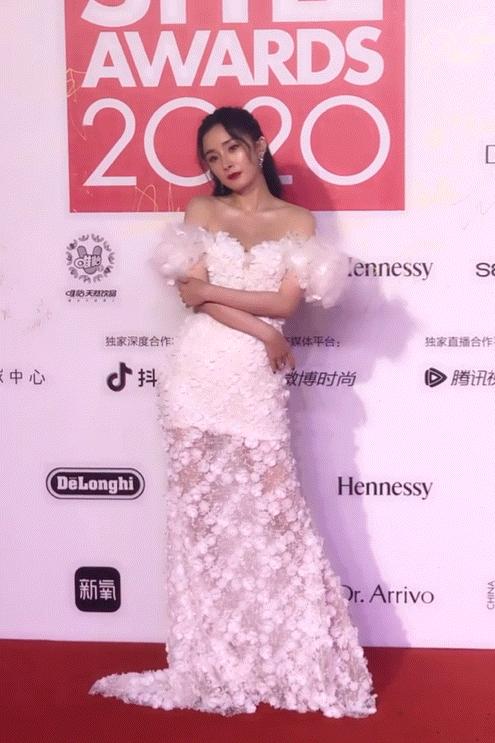 白冰出道14年,白冰出道十四年