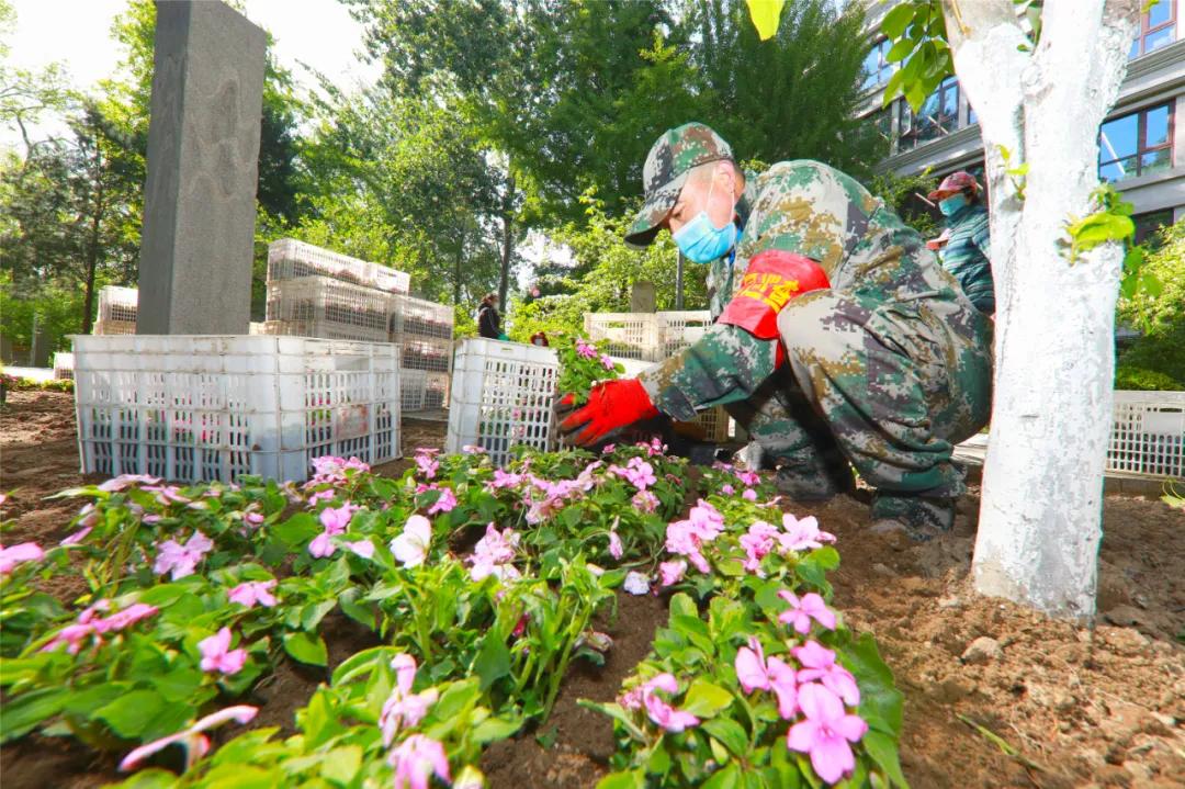 四月发生的事,东城发生的事