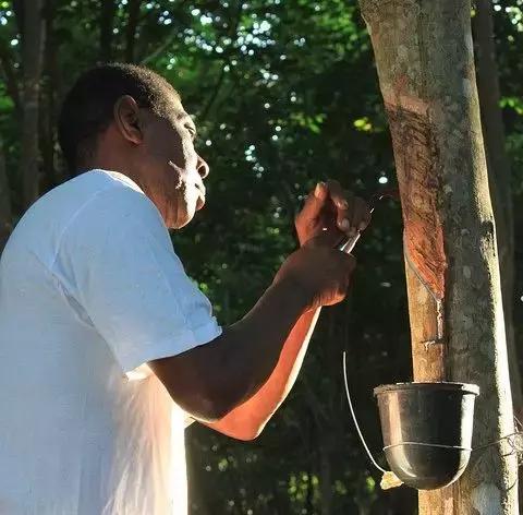 乳胶枕里的秘密,乳胶枕为什么感觉很潮