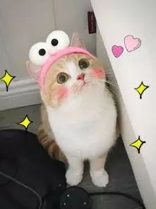 女人来“大姨妈”时，有这4个表现，才说明子宫很好