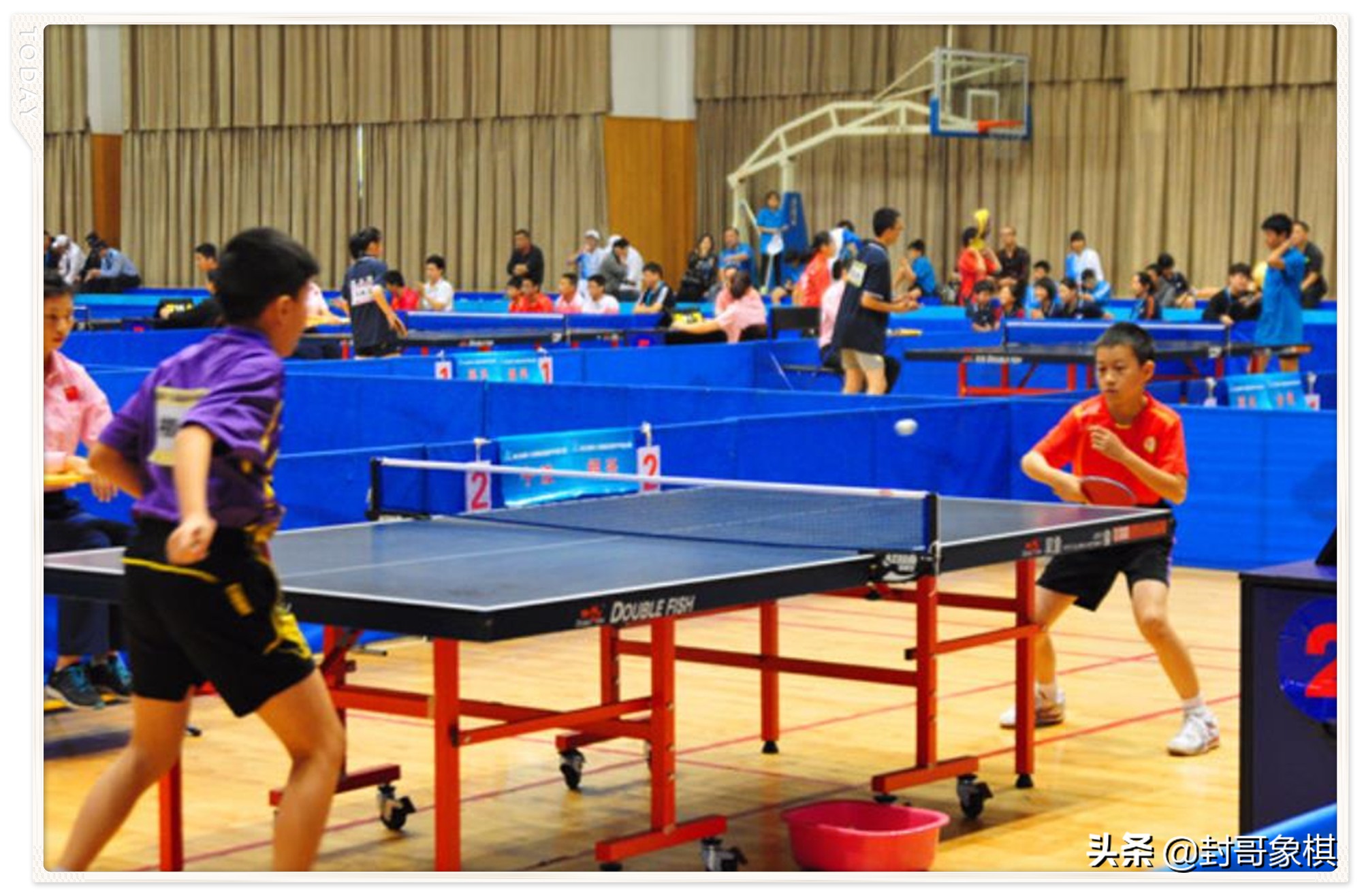 娱乐体育影响力,足球篮球乒乓球排球哪个简单