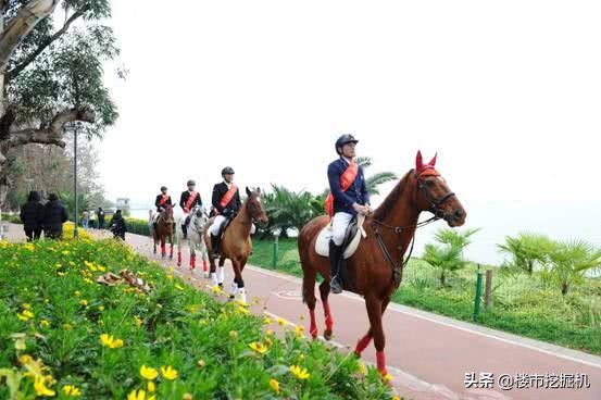 踏马滇池？百万名马乘骑等你来体验