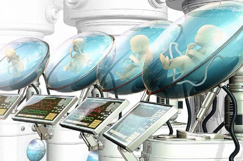 美丽新世界无白光,美丽新世界四季原本的样子