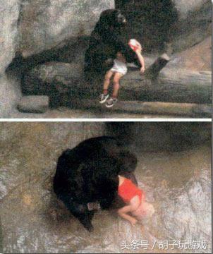 动物救人真实事件,4个动物救人的真实事件