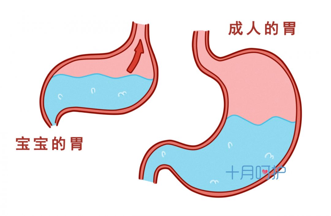 刚出生的宝宝怎样的表现是健康的,新生儿出生1-6个月常见问题
