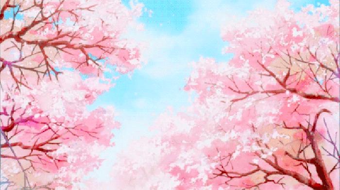 最美樱花限定单品,2022樱花限定