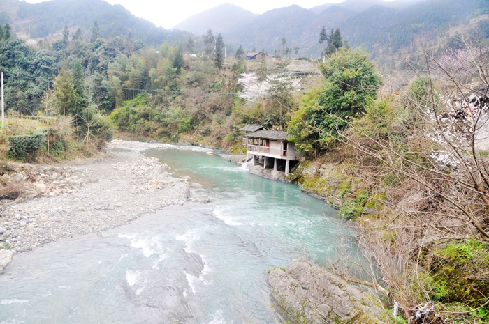 春到茶山好风光,春到安宁景醉人