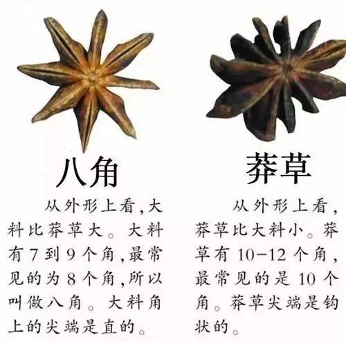 揪了把阳台种的“大蒜”做菜，母女俩呕吐不止！竟是因为……