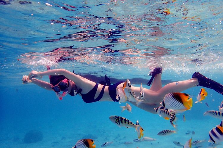 畅游粉红色的梦幻仙境·提克豪岛