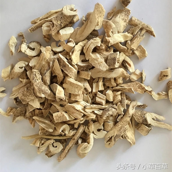 治疗皮肤瘙痒经常用上这2味中草药