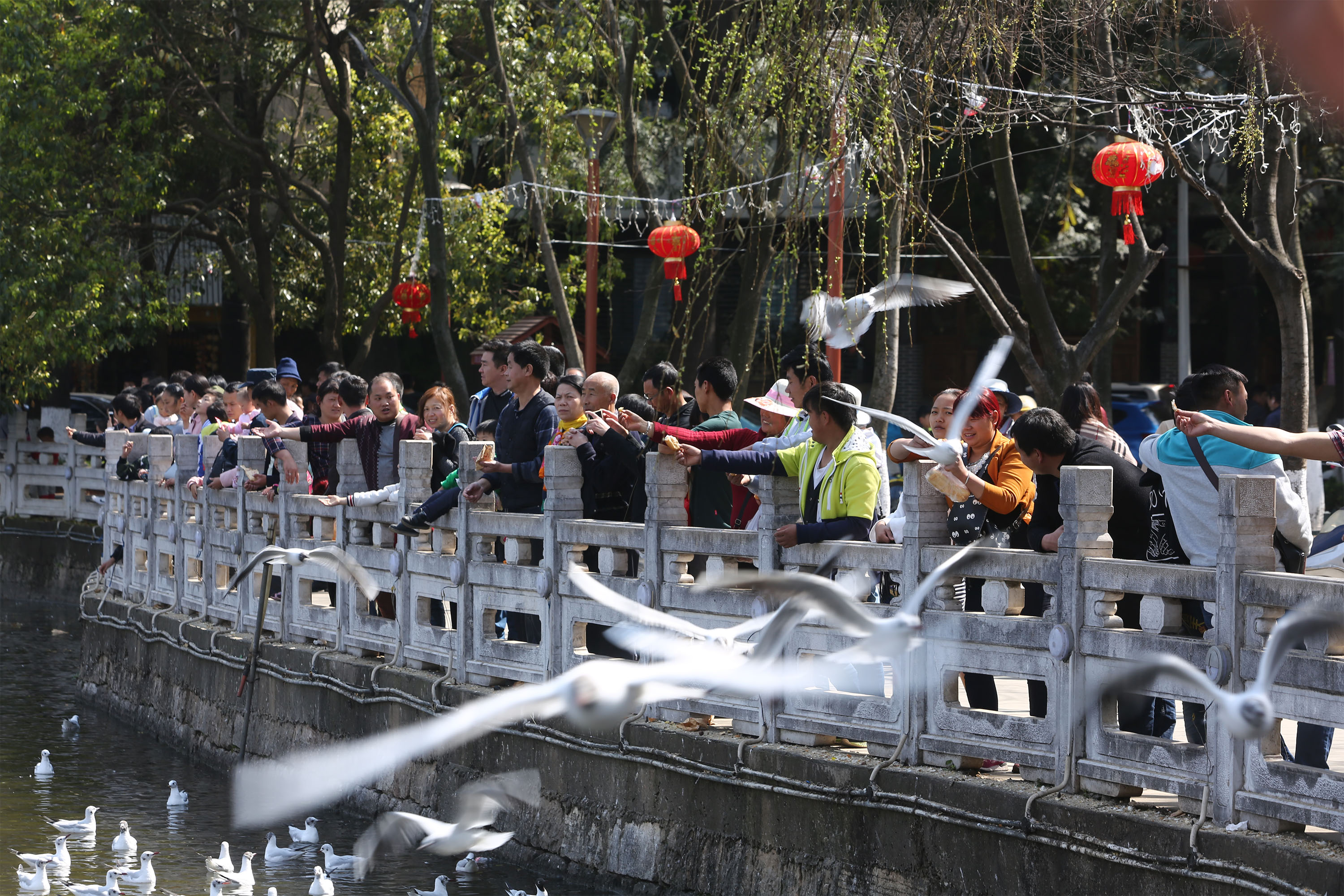 昆楚高速425特大事故,昆楚高速4月5日车祸