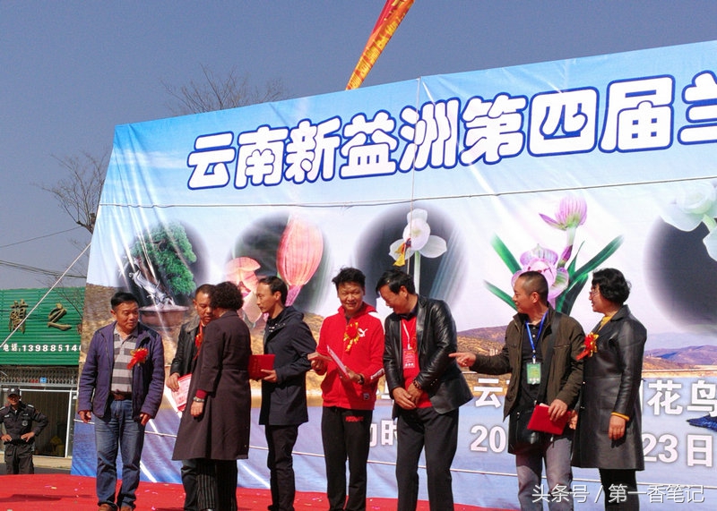 2020年云南兰花展获奖图片,2018年昆明兰花展精品图片