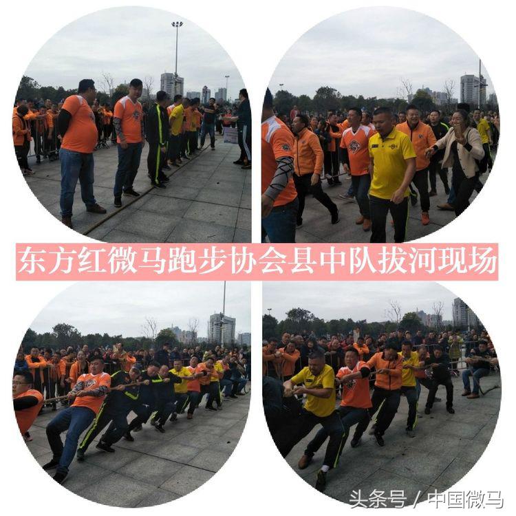 东方红微马队,东方红拔河比赛