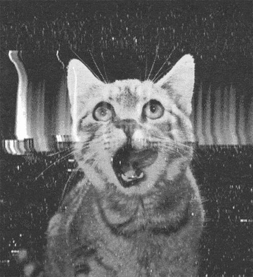 宿舍怪谈杀人犯,宿舍怪谈宿舍恐怖场面