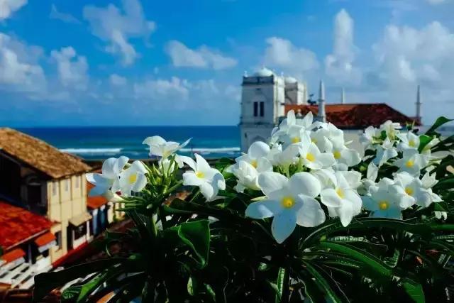 不用签证又不贵的旅游国家,无需签证小众旅游国家