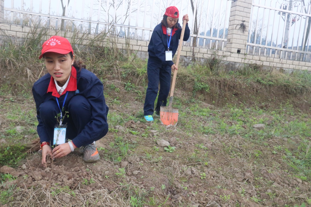 华金润,华金润集团信息技术产业园