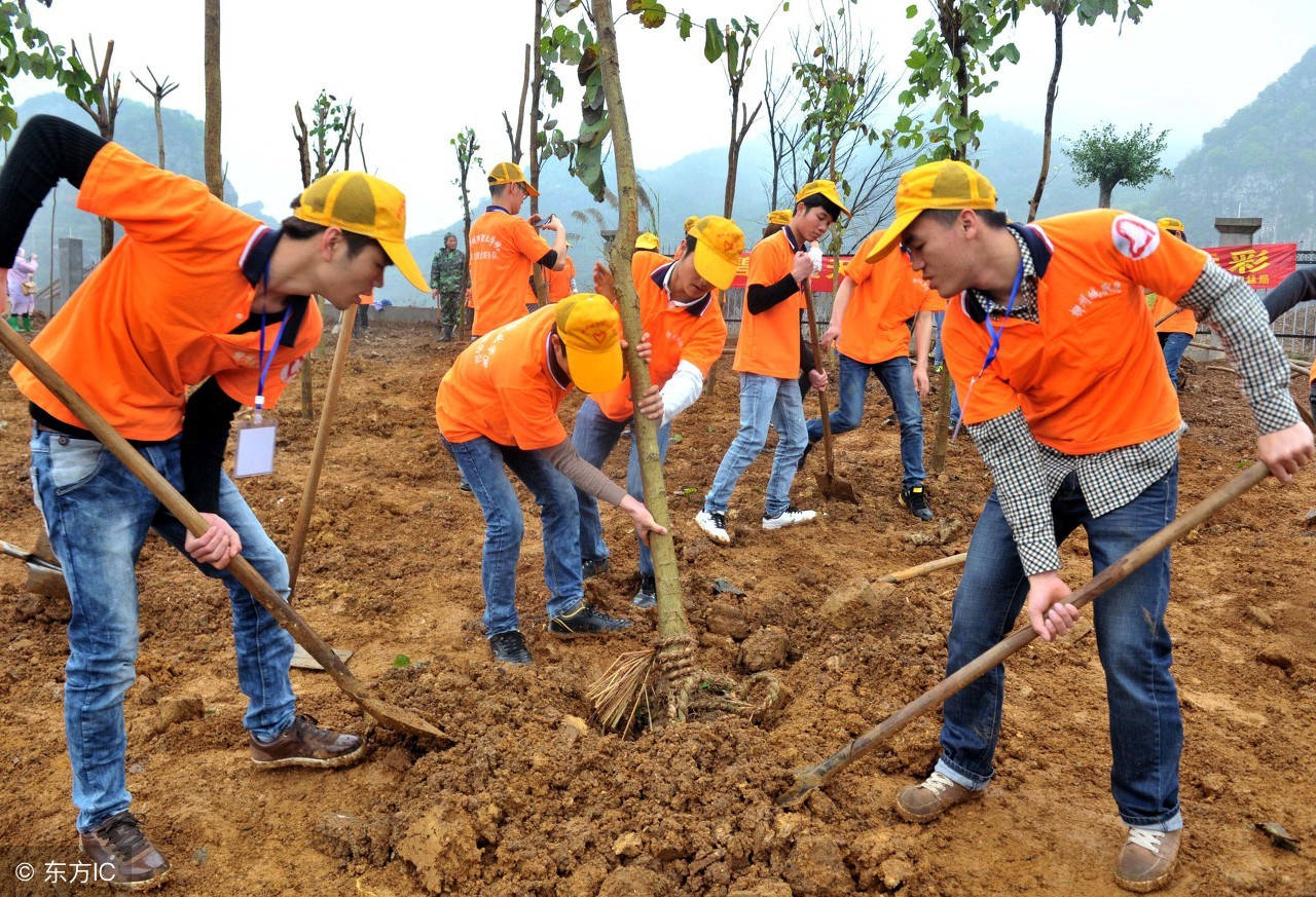 植树节怎么宣传,植树节公益广告2023年