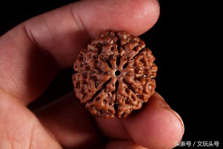 金刚菩提手串为什么会开裂,金刚开裂都是哪里开裂