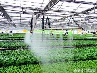 抓住机遇发家致富的方法,抓住富人的十条致富法则