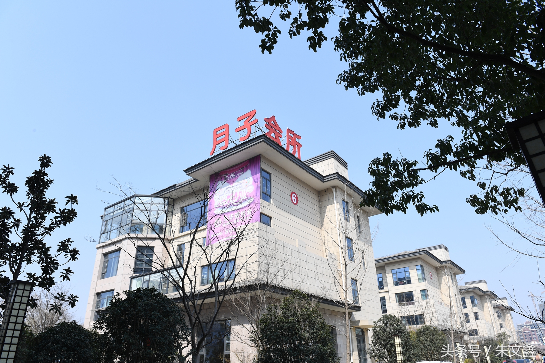 群雁高飞头雁领什么意思,群雁高飞