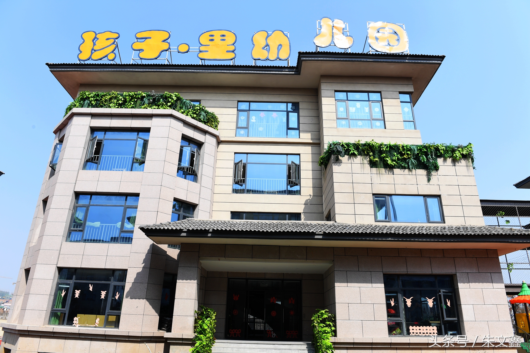 群雁高飞头雁领什么意思,群雁高飞