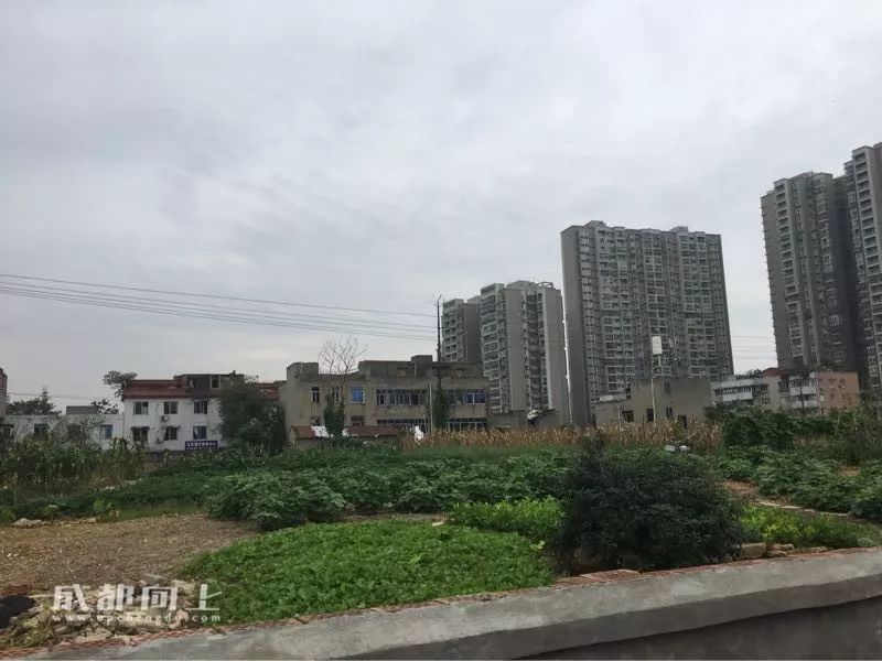 锦江区的核心地段，没想到现在是这样
