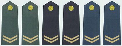 中国军衔和军官资历大全,中国的军官军衔等级