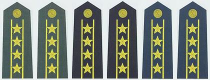 中国军衔和军官资历大全,中国的军官军衔等级