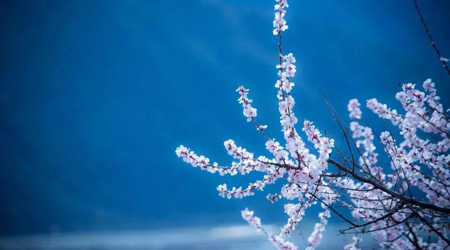 围炉夜话三大处世奇书是哪三本,完整围炉夜话处世奇书