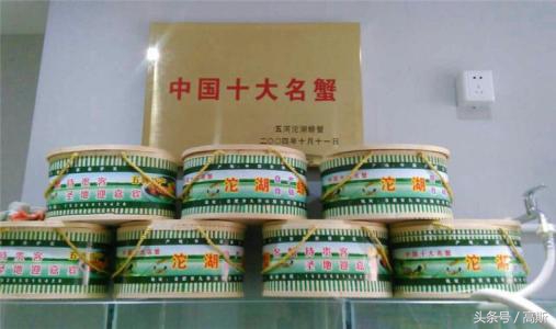 9.9两只阳澄湖大闸蟹你吃过么,正宗的阳澄湖大闸蟹精品