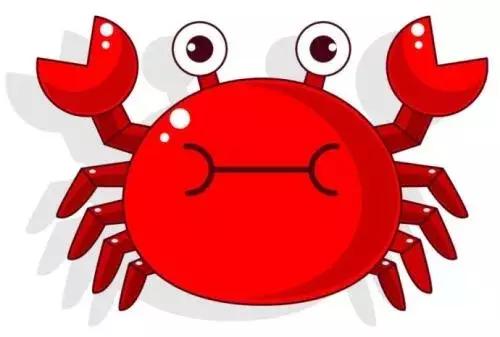 墨尔本捕蟹,墨尔本抓帝王蟹