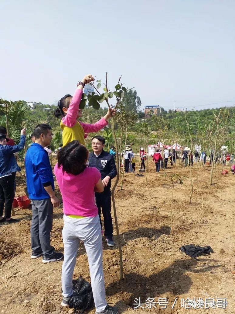南宁楼市火爆,南宁楼市从火爆到降温的背后