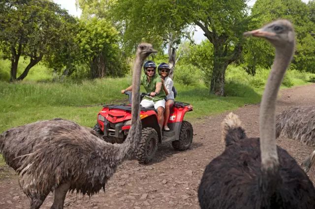 绝色天堂毛里求斯，你想要的干货攻略全在这里了！