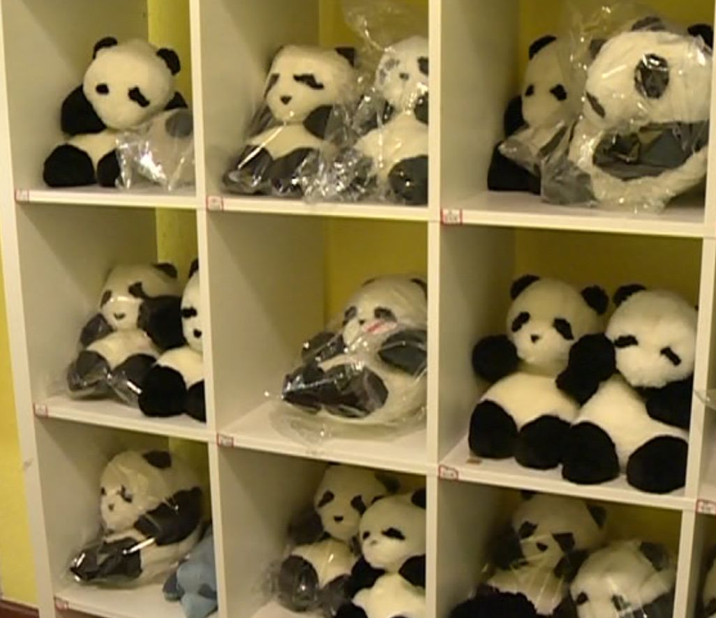 巾帼创业之星优秀事迹,推荐评选巾帼创业之星