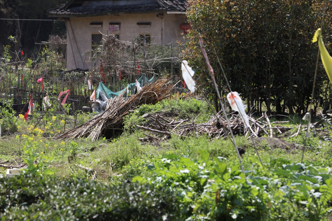 福建永定土楼之旅,去福建土楼看什么