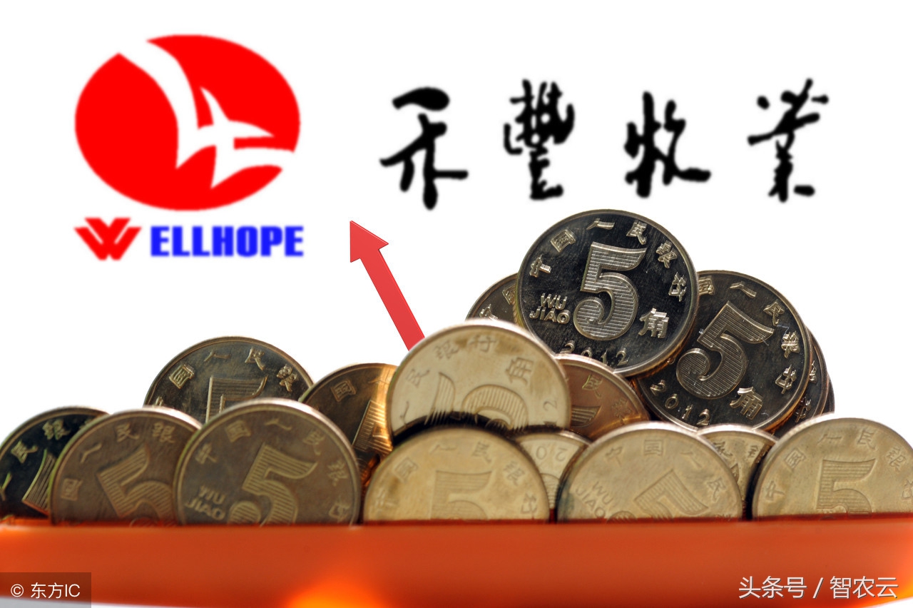 正大养肉鸡一只鸡能挣多少钱,禾丰牧业开封肉鸡