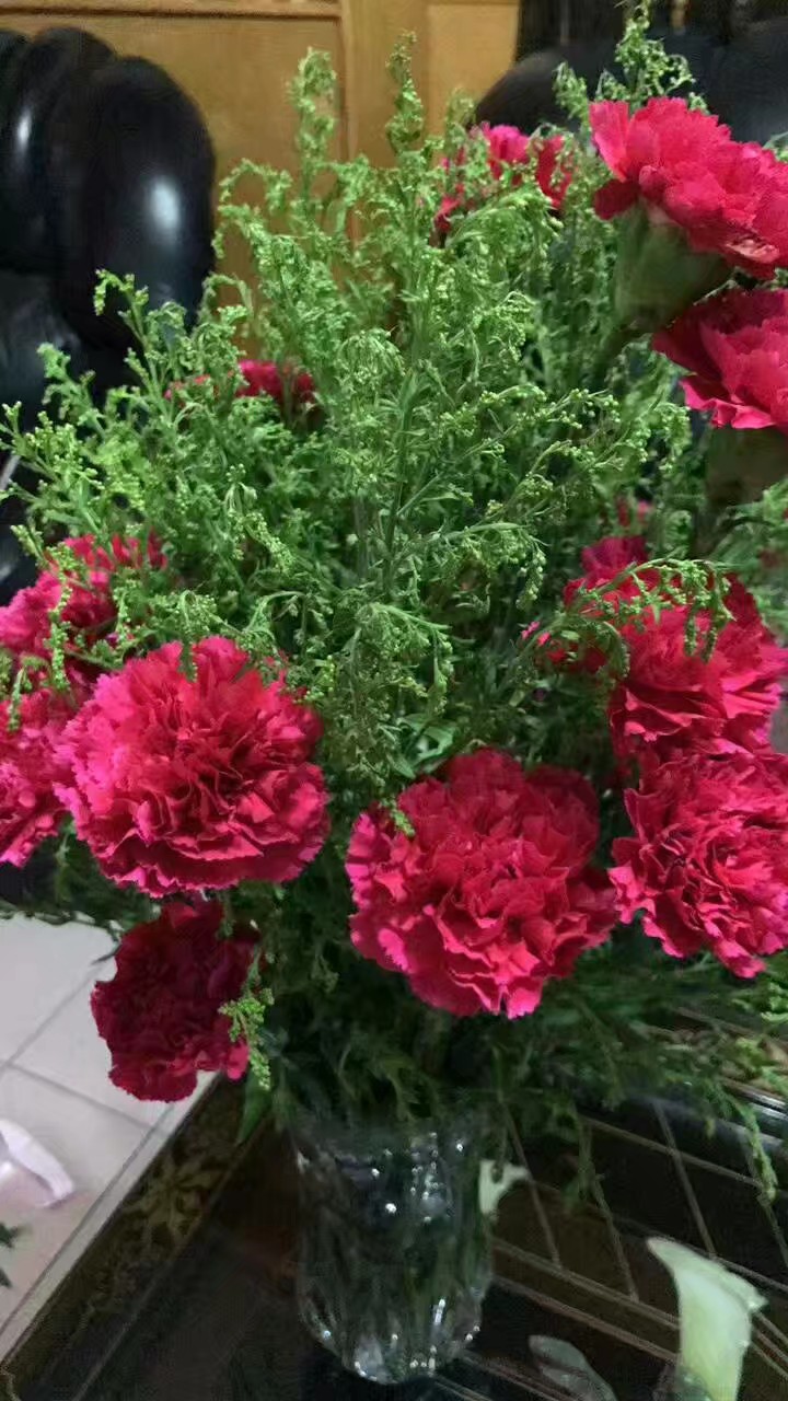 老家庭院种植的植物,庭院凉亭种植什么植物