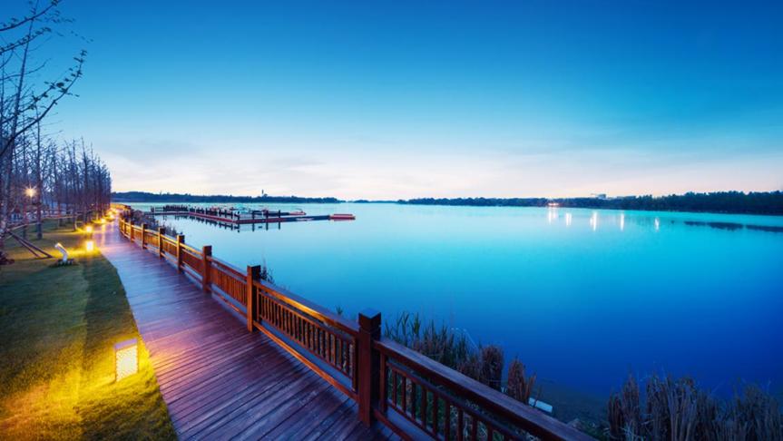 摄影师眼中的恒大有多美?春风十里在这里