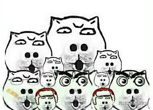 又有教育利好啦！五小、一幼开分校，秦淮二实小加入五小名校联盟