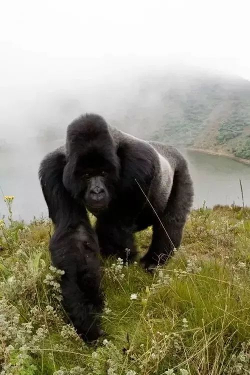 30种在地球“浪”的方式，做过10件，算你牛！