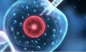 输卵管性不孕的最佳治疗方法,输卵管性不孕的中医治疗要点