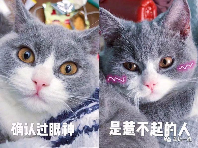 您有一份出行指南请查收,您有一份职场攻略请查收