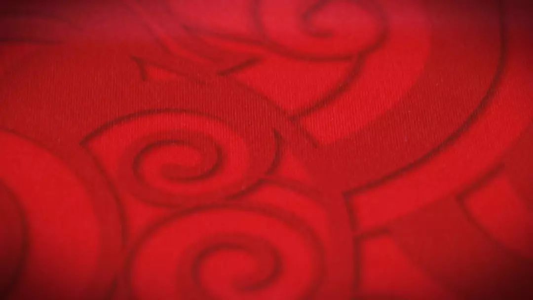 舒莱狮球服,舒莱狮足球风雨衣