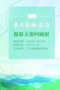 广州本周六活动推荐,深圳本周日活动推荐
